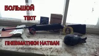 ОХОТА с ХАТСАН 125 на ГОЛУБЕЙ. Стреляем голубей с пневматики хатсан. Стреляем по книгам с воздушки