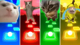 Vibing Cat vs Happy Happy Happy Cat vs Chipi Chipi Chapa Chapa Cat vs Banana Cat - Tiles Hop