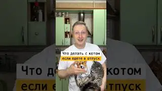 Что делать с котом когда уезжаете в отпуск | Лайфхаки от Нечетова | nechetoff | ПОДПИШИСЬ⬇️🔔 