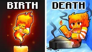 BIRTH to DEATH of an ELEMENTAL!