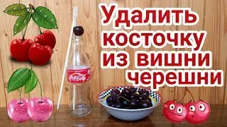 БЫСТРЫЙ СПОСОБ ВЫТАЩИТЬ КОСТОЧКУ С ВИШНИ И ЧЕРЕШНИ. Валерий Стилов