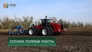 Осенние полевые работы/Пахота/День водителя 2024/Профессиональный праздник/Актуальные вакансии