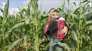 Выходил на поля молодой агроном