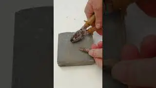 Как горит 100 летний порох?