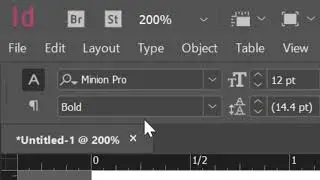 INDESIGN Bold Text