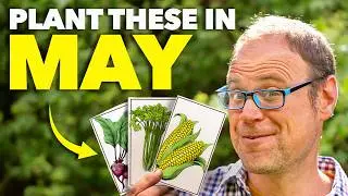 10 Crops You Must Plant ASAP!