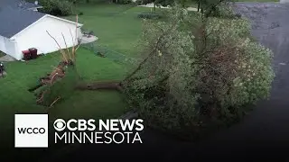 Cottage Grove area damaged by storms, fallen trees