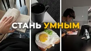 Как стать УМНЕЕ 97% людей | гайд без воды