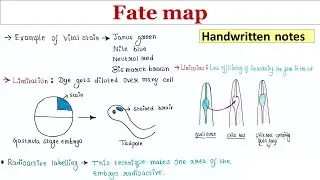 Fate map | Handwritten notes