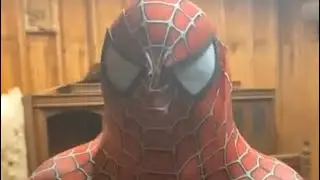 Spider-Man: No food for anyone