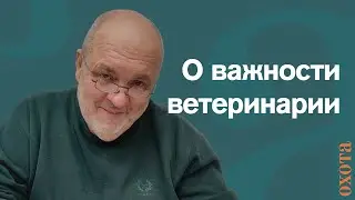 О ветеринарии поговорим? Валерий Кузенков о роли ветеринарии в охоте.