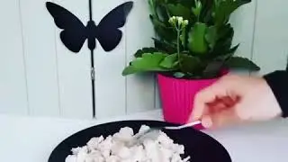 Вкусный салат 👍подписвайтейс и лайкайте