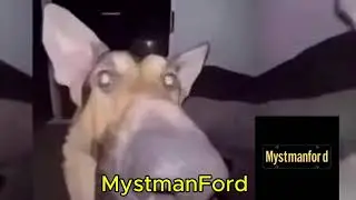 Новое интро