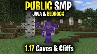 Public Minecraft SMP Server for Java & Bedrock *LIVE* 1.17.1 (Free to Join)