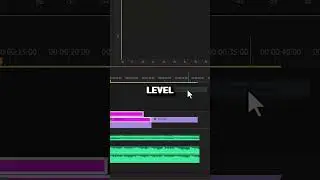 Select All Colored Clip Together in Premiere Pro