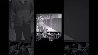Ален Делон / Вечер памяти 08.11.2024 