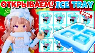 🤯ШОК ОТКРЫТИЕ НОВЫХ БОКСОВ ПОДНОС ДЛЯ ЛЬДА🧊 В АДОПТ МИ | ICE TRAY ADOPT ME