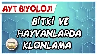 AYT Biyoloji | Bitki ve Hayvanlarda Klonlama GDO #sayfa148