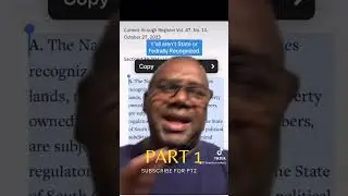 You not a Real Indian