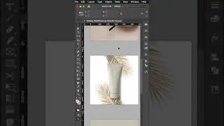 Placing, Formatting & Fitting Images | InDesign