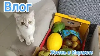 Уже месяц в больнице//Привезли продукты на праздник//