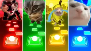 Doorbell Cat vs Chipi Chipi Chapa Chapa Cat vs Banana Cat vs Vibing Cat - Tiles Hop EDM Rush