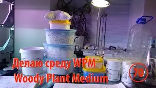 [70] Делаю среду WPM - Woody Plant Medium - для культивирования древесных растений