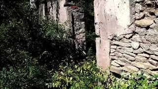 RapeyRavine Nature Walk