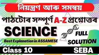 Class 10 Science Chapter 7 Question Answer in Assamese |SEBA | Let's Approach