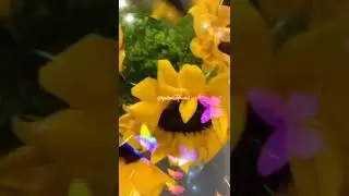 Доброе утро! Встречаем Август!