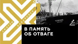 Хабаровской школе хотят присвоить имя лётчика Александра Светогорова