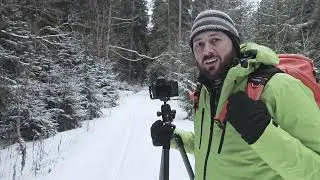 Fotografie de Peisaj iarna in padure de brad [Sfaturi si Setari]