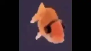Happy fish