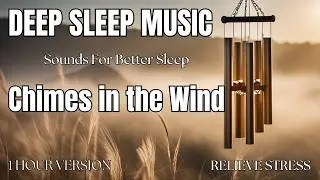 Ultimate Soothing Sounds for Sleep & Relaxation