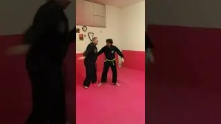 KENPO-JUJUTSU WSDA AREZZO, RESPONSABILI PROVINCIALI SCUOLA DI COMBAT-JUTSU (KRAV MAGA) & REAL AIKIDO