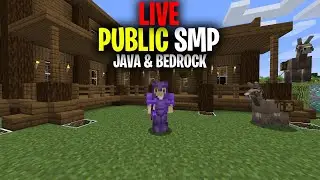 Public Minecraft SMP Server for Java & Bedrock *LIVE* 1.17.1 (Free to Join)