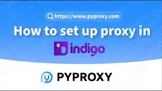 PYPROXY|How to set up proxy in INDIGO?Market-Leading Proxy Solution