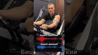 Сгибания рук на скамье Скотта.  