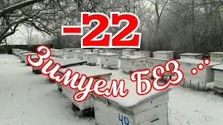 ЗИМА.  ФЕВРАЛЬ.   -22   ЗИМУЕМ БЕЗ...