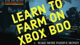 BDO XBOX FARMING GUIDE: MAKE MORE PASSIVE MONEY!