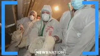 Dr. Redfield: We will have a bird flu pandemic | Cuomo