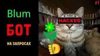 Бот для Блюм на запросах! Скачать скрипт! Тест бота!