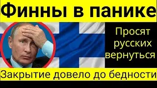 Финны зовут обратно, Россия ПОСЛЕДНЯЯ НАДЕЖДА Финляндии