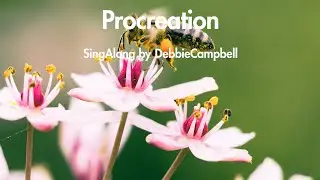 Plant Pollination