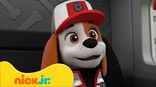 Щенячий патруль | Щенки-дальнобойщики самые лучшие моменты! 🚒🐶 | Nick Jr. Cyrillic