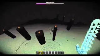 MINECRAFT UCCIDIAMO IL DRAGO DELL'END