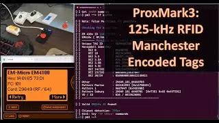 Flipper Zero/ProxMark3: LF RFID Introduction to Manchester encoded signals