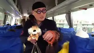 Говорящий хомяк повторюшка и китаец