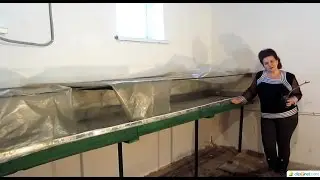 Простой кильчеватор для укоренения черенков винограда