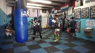 FLMT Muay Thai Sparring
